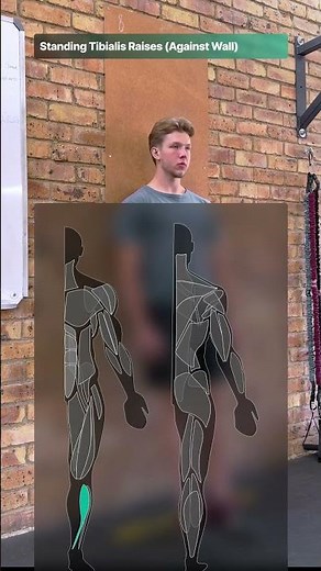 How to do Standing Tibialis Raises Against a Wall