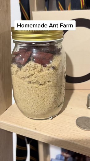 Cassie Lee Cormick on TikTok