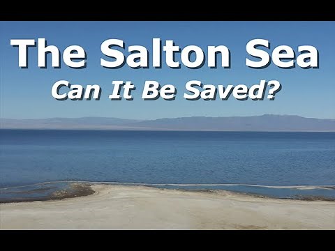 Saving the Salton Sea: A Story of Hope, Art, and Restoration