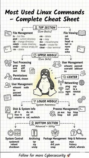 most popular commands #linux #hacking #hacker