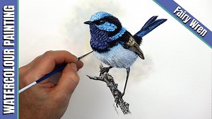 Learn To Paint Birds in Watercolour - Fairy Wren If you have time on your hands and don't know what to do with yourself, why not give watercolour painting a try! It's a good way to focus on just one thing and enjoy the process of creating sometihng on paper at the same time. In times like these, we need something to take our minds off the 'new norm!'🤔 Give this Fairy Wren a go or simply join as a Free Member to try my Robin painting class, just to see if this is the right thing for you. Paul 🎨