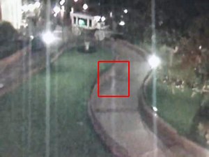 Security Camera Captures Ghost Walking Right Through a Gate at Disneyland's Haunted Mansion