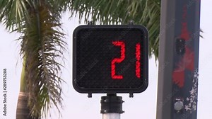 A White Walk Symbol Transitions through 22 Seconds Flashing Red Hand Up Symbol with Numbers to Don't Walk in Solid Red in Late Afternoon Framed by Palm Trees and Light Pole