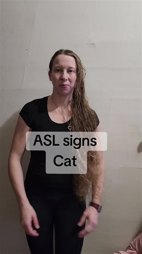 asl signs for cat follow for more signs #dailysigns #daikyvideos #parentsoftiktok #sign #learningasl #aslforbeginners #aslforbabies #learnwithme #beginner #asl #animals #cat