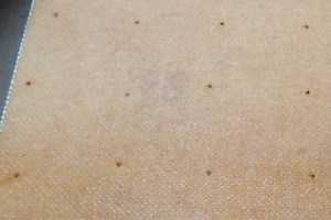 Two Laminate Samples, One “Core” Lesson