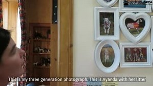 10K views · 158 reactions |  Sonja is a member of our Assured Puppy...
