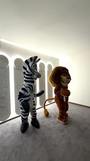Inflatable Zebra and Lion Costumes Dancing Playfully