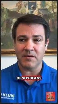 Soybean Crush Margins Surge to $5