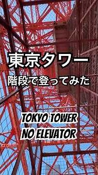 TOKYO TOWER, NO ELEVATOR│東京タワー階段チャレンジ│KADOYA HOTEL #tokyotower #東京タワー
