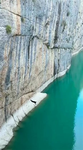 53K views · 216 reactions | 勞 Shocking! Man Jumps off Unbelievable...