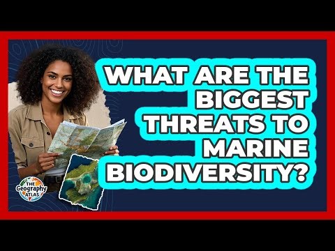 What Are The Biggest Threats To Marine Biodiversity? - The Geography Atlas