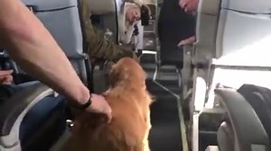 33K views · 457 reactions | Delta Airlines is changing the rules for...