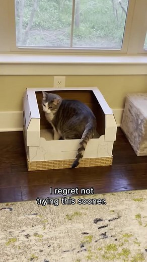 1.9M views · 1.3K reactions | Tired of dealing with messy, smelly...