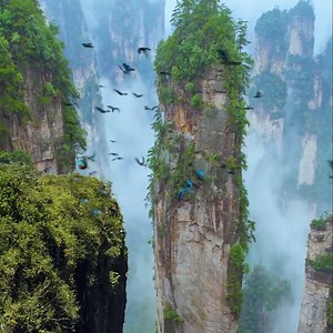 Zhangjiajie National Forest Park, a UNESCO World Heritage Site, is famous for its breathtaking natural scenery. The skies there are usually a sea of clouds, like something often depicted in traditional Chinese ink paintings. #FunChina | China Plus Culture
