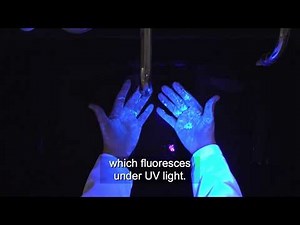 Proper Handwashing Technique