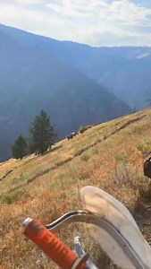 47K views · 20K reactions | #stitch with @TreeRails69 biggest difference between a horse and a dirt bike is the horses have a mind of their own. made me happy to witness dirt bikers with engines off waiting for the horses to come up and pass. In these conditions there’s nowhere to go but down. #trails #mountains #horses #dirtbikes | Michael Ridge | Facebook