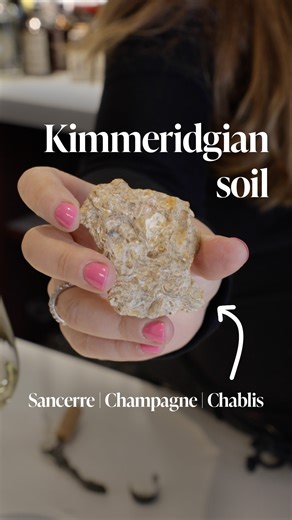 Why are regions like Chablis, Sancerre, and Champagne known for producing some of the world’s most elegant wines? The answer might lie in the soil 🐚 Erica Skurnik shows off a chunk of Kimmeridgian soil she “borrowed” while meandering through the rolling vineyards of Domaine Pinson. Preserved within this shiny chunk of limestone, marl, and clay are fossils of ancient sea life—evidence of the tropical sea that once covered the European continent millions of years ago. This unique soil composition