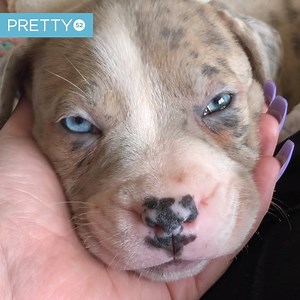 395K views · 4.5K reactions | It's National Napping Day! Don't feel too bad for napping on the job today ❤️ | Tyla | Facebook