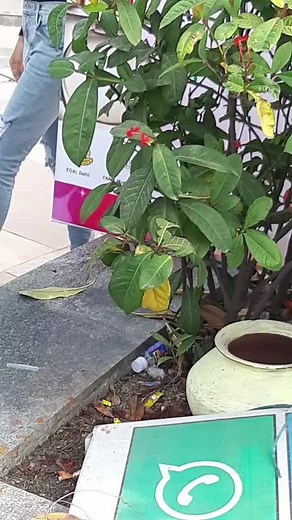 candy573 (@candy.53)’s videos with original sound - Sachin_Gaikwad - 👑 PRINCE 👑