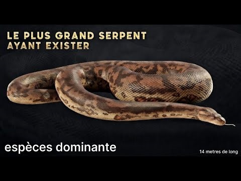 Ce serpent géant de 14 mètres a vraiment existé…