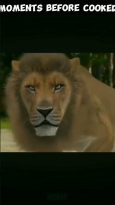 tiger vs lion☠☠ #edit