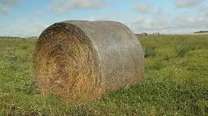 Hay bale in a field. Bale is wrapped in bale net wrap. Southern Saskatchewan, Canada.