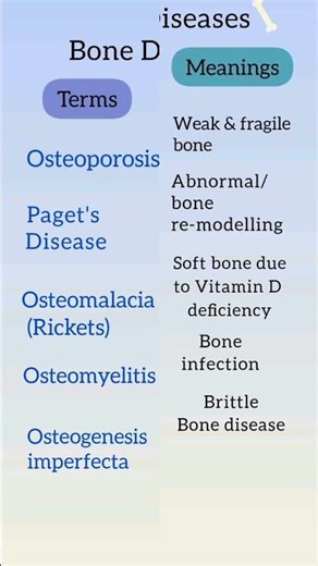 Common bone diseases explained 🦴 | Bone health