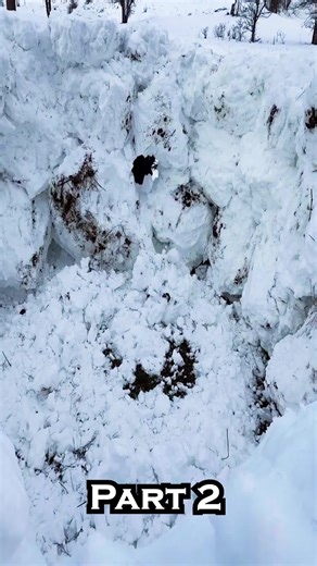 Building a Shelter from Crystal Snow_ Winter Survival Skills - part 2 bushcraft survival camping bushcraft shelter shelter camp bushcraft skills bushcraft survival bushcraft camp survival skills solo camping outdoors survival shelter winter camping hiking cooking rain off grid living bushcraft camping asmr off grid forest cooking fishing log cabin building solo survival underground house living off grid forest fireplace survival videos wood 7 days solo survival camping heavy rain 3 days solo sur