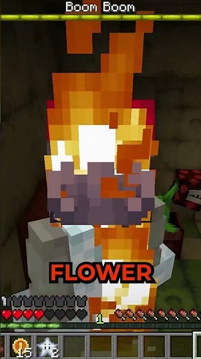 Crazy Super Mario Minecraft Mod!