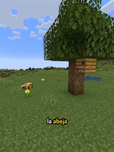 Explora La Colmena En Minecraft: Un Tour Virtual