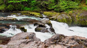 River, Stream, Whitewater. Free Stock Video
