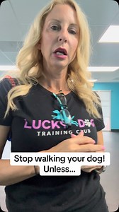 Lucky Dog Training Club on Reels