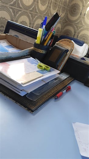 VID_20251119_174710.mp4