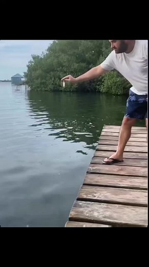 Exciting Fishing Adventure with Big Bait and Epic Catches