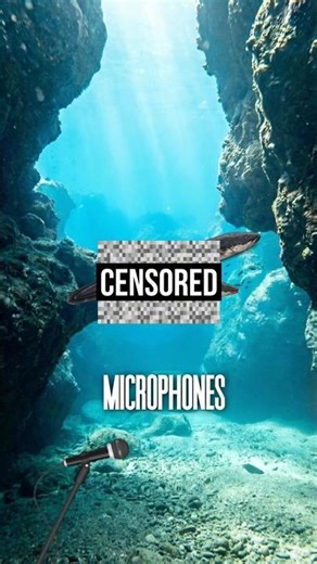 you've been wrong about eels...