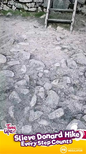 🏞️ TinyLife Slieve Donard Hike - March 3, 2024 🏞️ Dust off your hiking boots or grab your first pair! 🥾 Join us on March 3, 2024, for an unforgettable adventure up Slieve Donard in County Down. 🏔️ Let’s climb the highest mountain in the magical Mourne Mountains and conquer the highest peak in all of Ulster - one of Ireland’s 4 provincial peaks! 🌟 Event Highlights: 🚶 Guided by the expert team from Northwest Adventure Tours 🌲 Scenic route through Donard Forest and past the Glen River 🏰 Stu