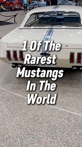 1963 Ford Mustang II concept car at the Buffalo Motorama! #Motorama2025 #mruniqueone #mruniqueone1975 #fyp #fypシ #ford #mustang #concept #viral #fordmustang #rare #rarest | Dana Owlett