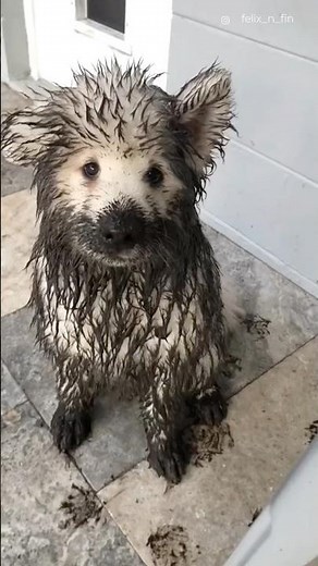 You just can’t get mad at them when they’re having so much fun 🥹❤️
