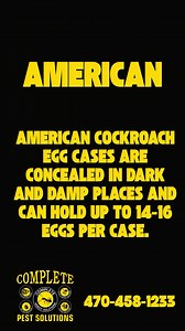 Complete Pest Solutions of Northern Atlanta on Reels