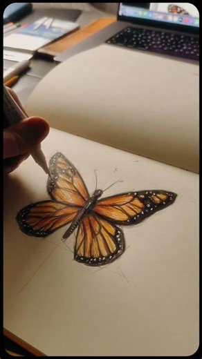 How to Draw a Butterfly with Pencils ✏️ | Step-by-Step Tutorial