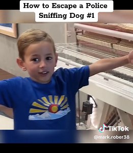 Part 1. How to Escape a Police Sniffing Dog #markrober #diy #pet #dog