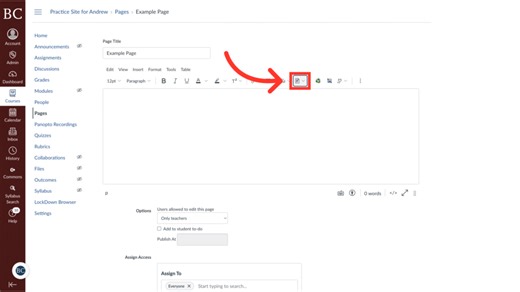 Adding Files with the Canvas Rich Content Editor