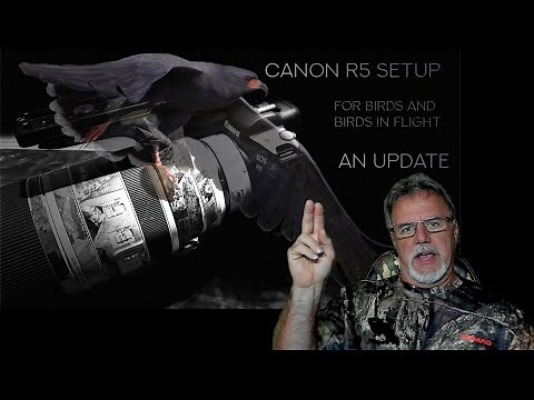 Canon R5 Set Up - Birds and Birds in Flight an Update