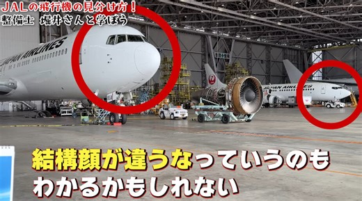 【空港でドヤれる!?】JAL"飛行機の見分け方"44万再生の解説動画が愛情こもりすぎ!! -「流石JAL!」「737のツッパリって」と話題に