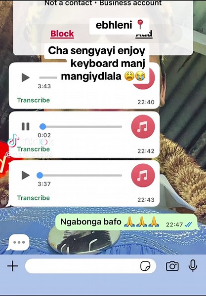 Ebuhleni Keyboardist: Celebrate South African Music