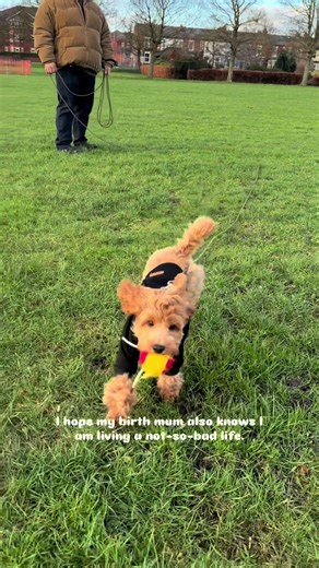 Preparing for 2026: Are You Ready?