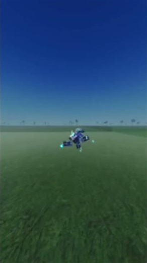 Roblox Wally west