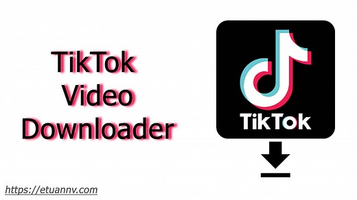TikTok mass video downloader - etuannv