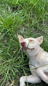 3K views · 93 reactions | Martin Miller on Reels | Facebook