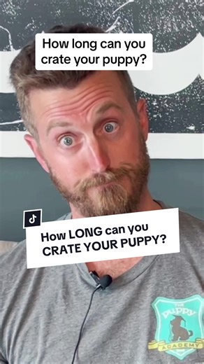 There’s several factors that determine how long you can crate your puppy for: (If you don’t like crates, don’t want to use a crate, hate crates, etc. — this video is NOT for you! Please don’t crate shame other puppy parents for using it in the comments either. Do what works for you and you own puppy. We’re here helping those who need this specific help. ❤️) - Puppy’s age - Stage of potty training - Have they been acclimated to the crate? - Their behavior in the crate (are they relaxed? Anxious? 